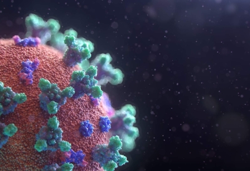 Covid-19: An update for employers