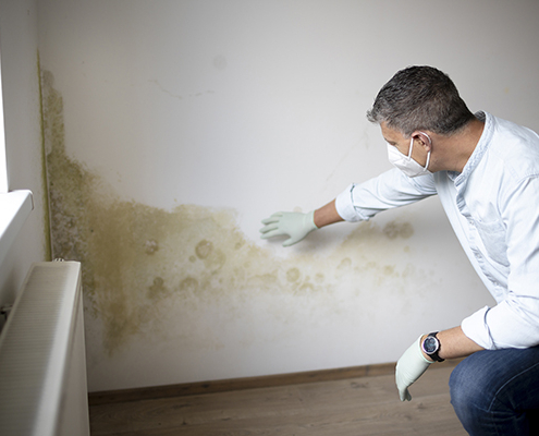Man with mouth nose mask and blue shirt in front of wall with mold