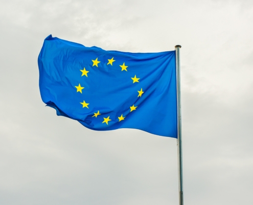 European Union Flag