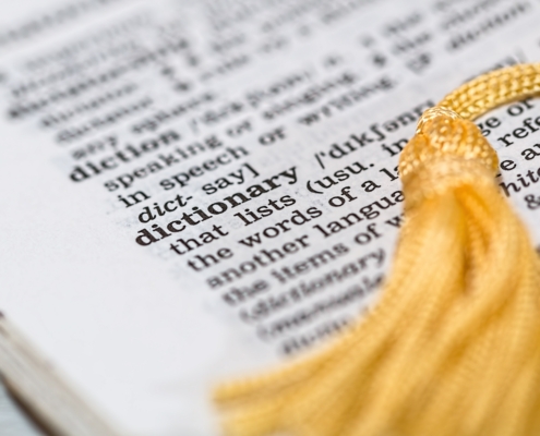 The word 'dictionary' zoomed in a court terms book