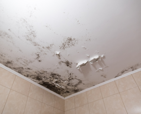 Black mold and mildew spots on the ceiling or wall due to poor air ventilation and high humidity. Harm