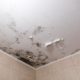 Black mold and mildew spots on the ceiling or wall due to poor air ventilation and high humidity. Harm