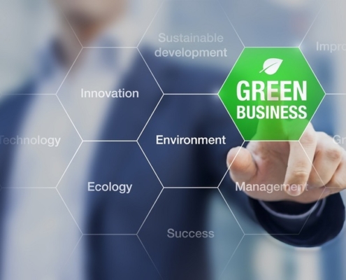 5 Ways for Companies to Go Green in the New Year